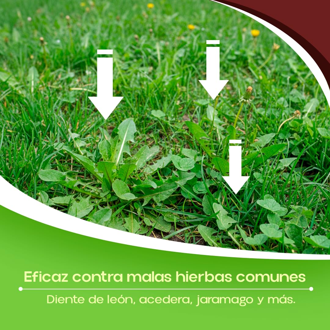 Herbicida Selectivo Contra Malas Hierbas de Césped y Hoja Ancha HERBICLAIR | Fluroxipir 20% p/v | Envase Concentrado 100 ml | Cobertura hasta 1000 m² | Control Post-Emergencia | Nexum Market