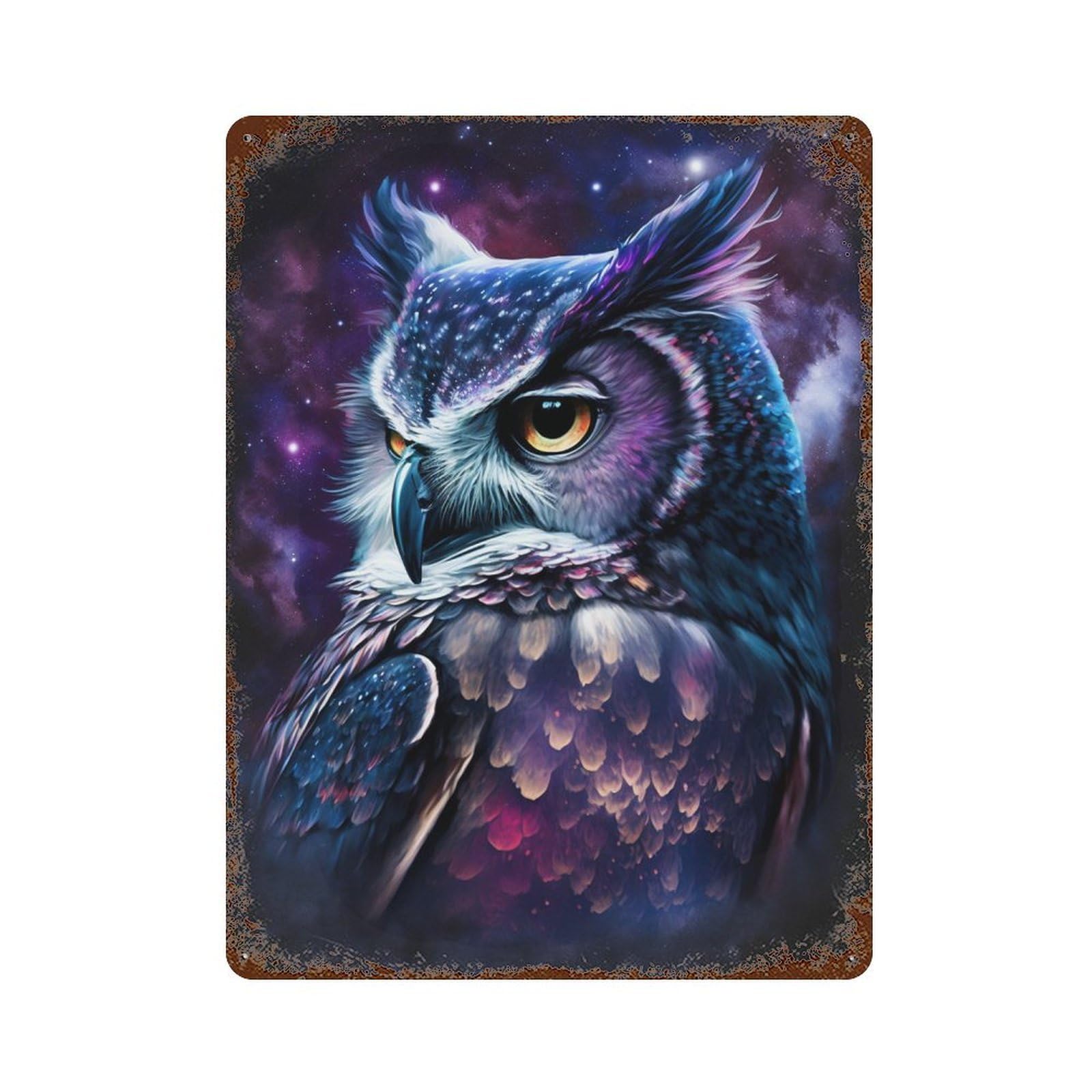 Cosmic Owl Art Print-9 Vintage Rust Metal Sign 15.7"x11.8", Ideal for Bistro, Counter And Cafe Decor