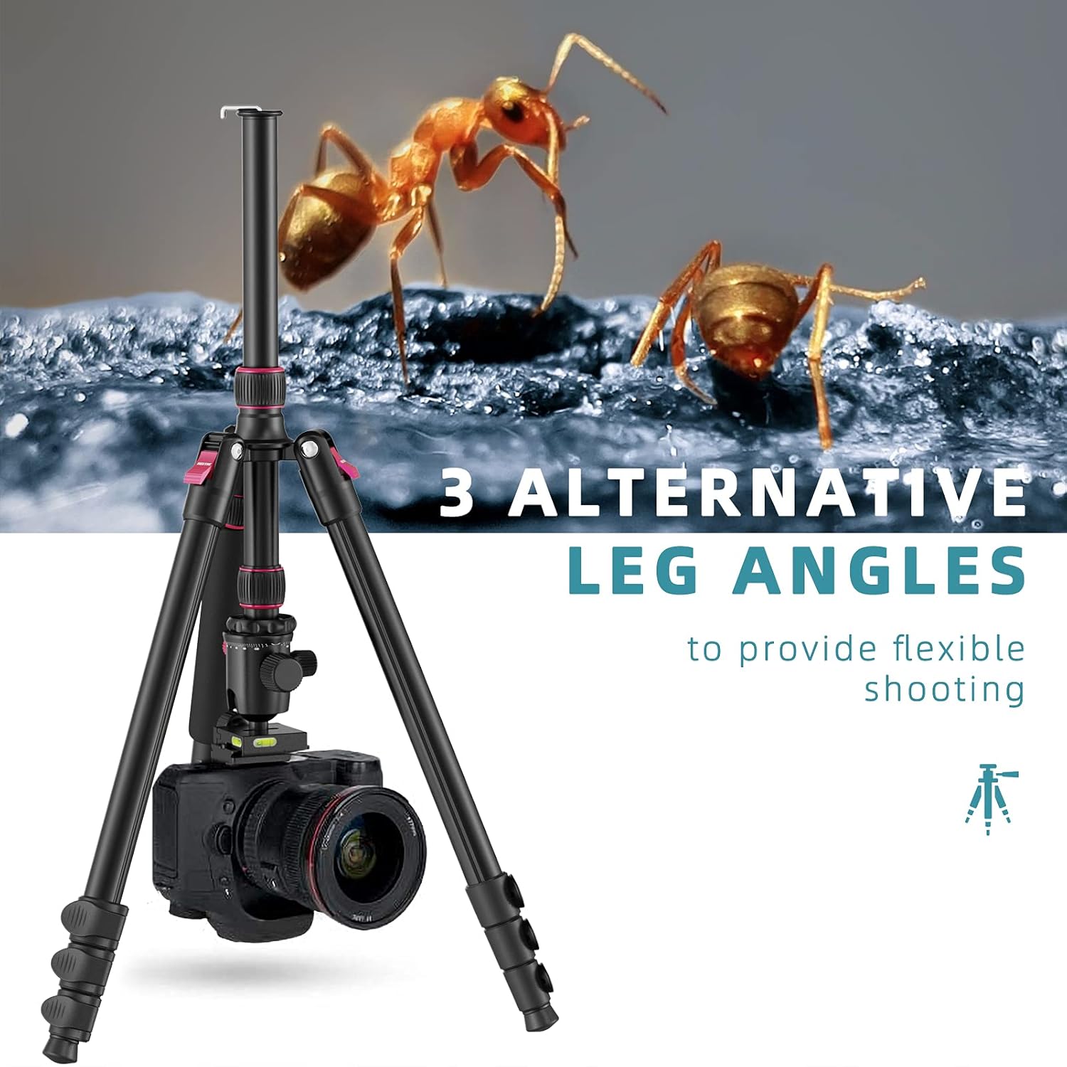 ROXTAK 80" Camera Tripod & Monopods,Professional Compact Aluminum Travel Tripods for DSLR with 360 Degree Ball Head and 2 Quick Release Plates,Compatible for Canon,Nikon,Sony,Samsung,Olympus&Panasonic : Electronics