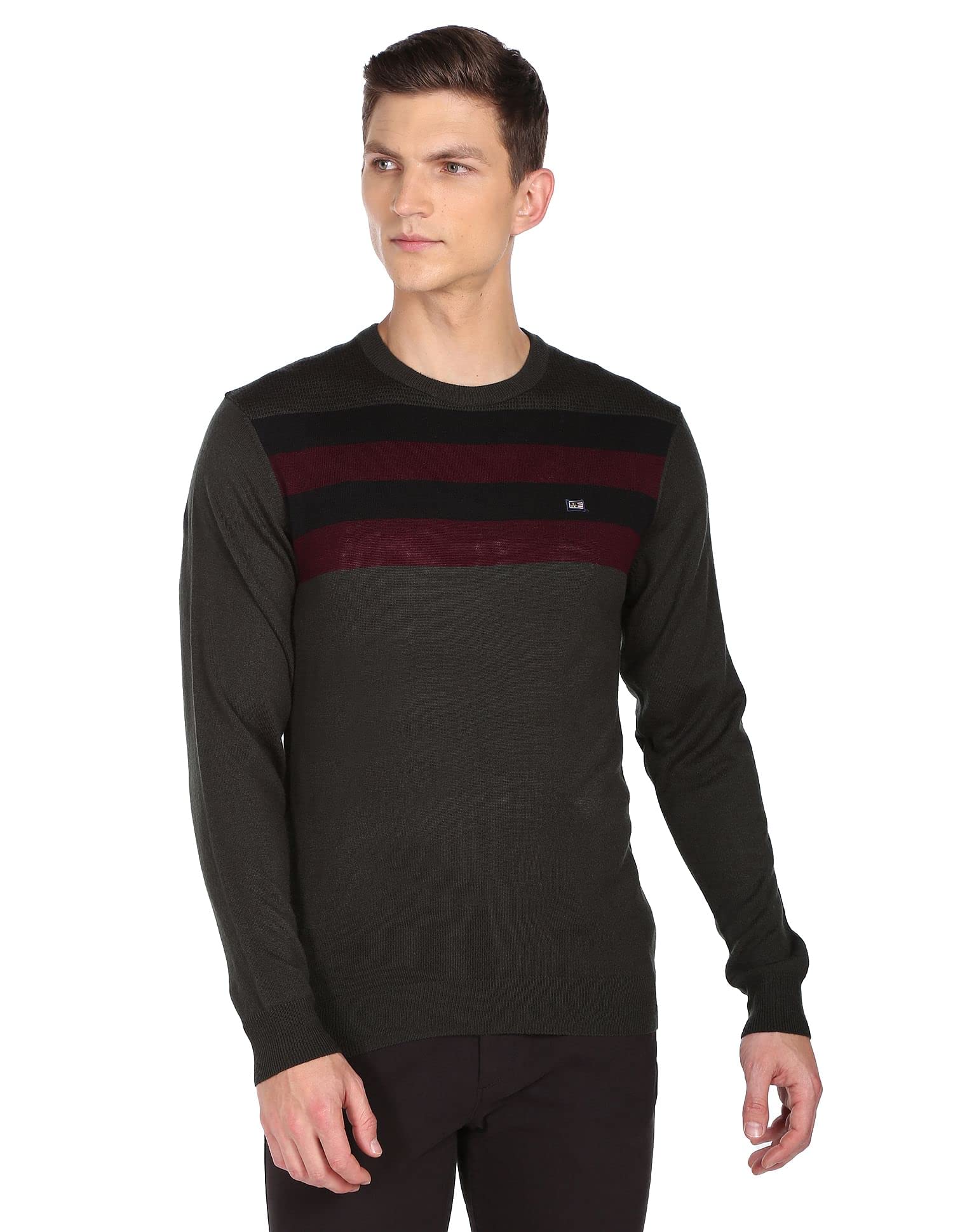 arrow Sport Men's Striped Regular Fit Sweater-picture-23