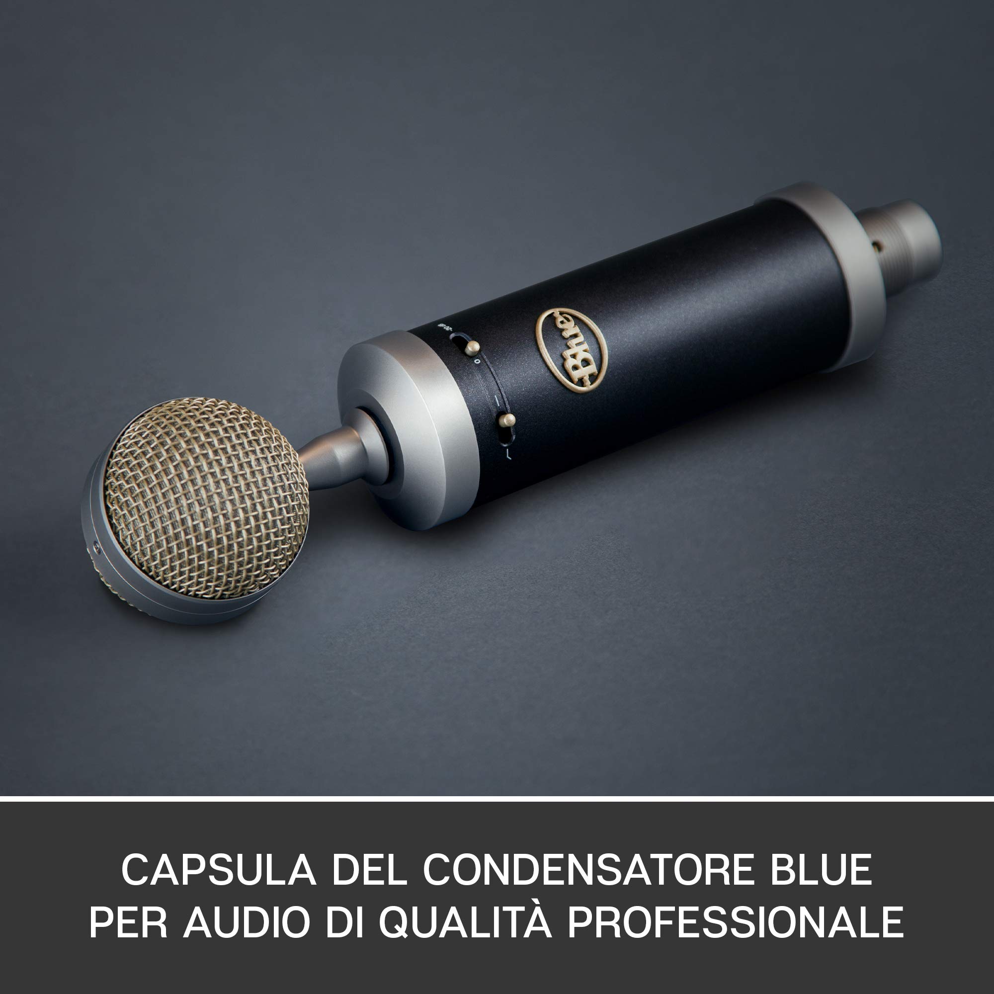 Blue Baby Bottle SL Microfono a Condensatore XLR | Per la Registrazione e lo Streaming, Capsula Cardioide a Membrana Grande, Shock Mount e Custodia Protettiva - Nero