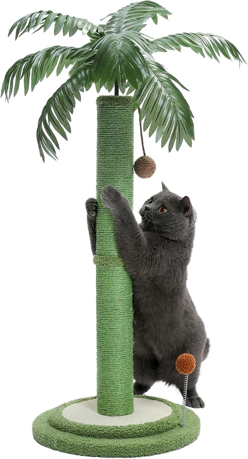 Amazon.com : PETEPELA Cat Scratching Post, 33" Tall Cat Scratcher for Large Cats with Interactive Balls& 100% Sisal Covered Kitten Scratch Posts for Indoor Cats(Green) : Pet Supplies