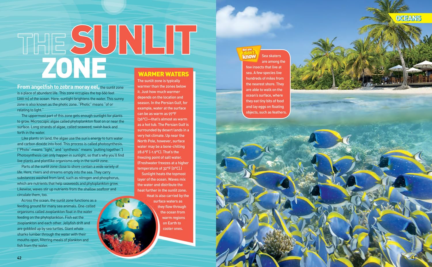 Ultimate Ocean-pedia: The fact-packed ocean encyclopedia (National Geographic Kids)