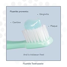 PRO-SYS Mint Fluoride Toothpaste Gel, ADA Approved, Prevents Cavities, Gingivitis, and Plaque, Pack of 3
