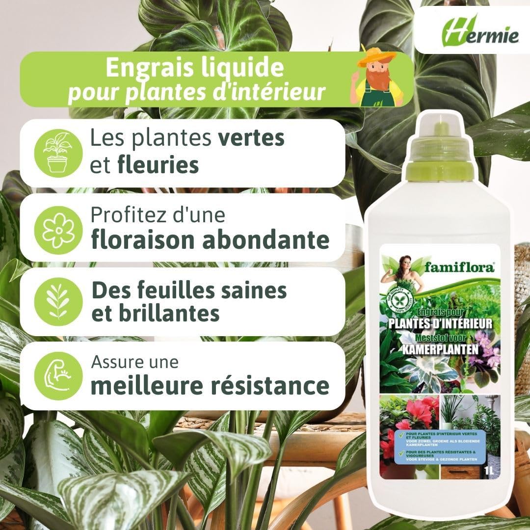 Engrais pour plantes d'intérieur 5L (5 x 1L) - Convient aux plantes vertes et à fleurs pour une jungle urbaine luxuriante - La floraison abondante garantit que vos plantes sont toujours sous