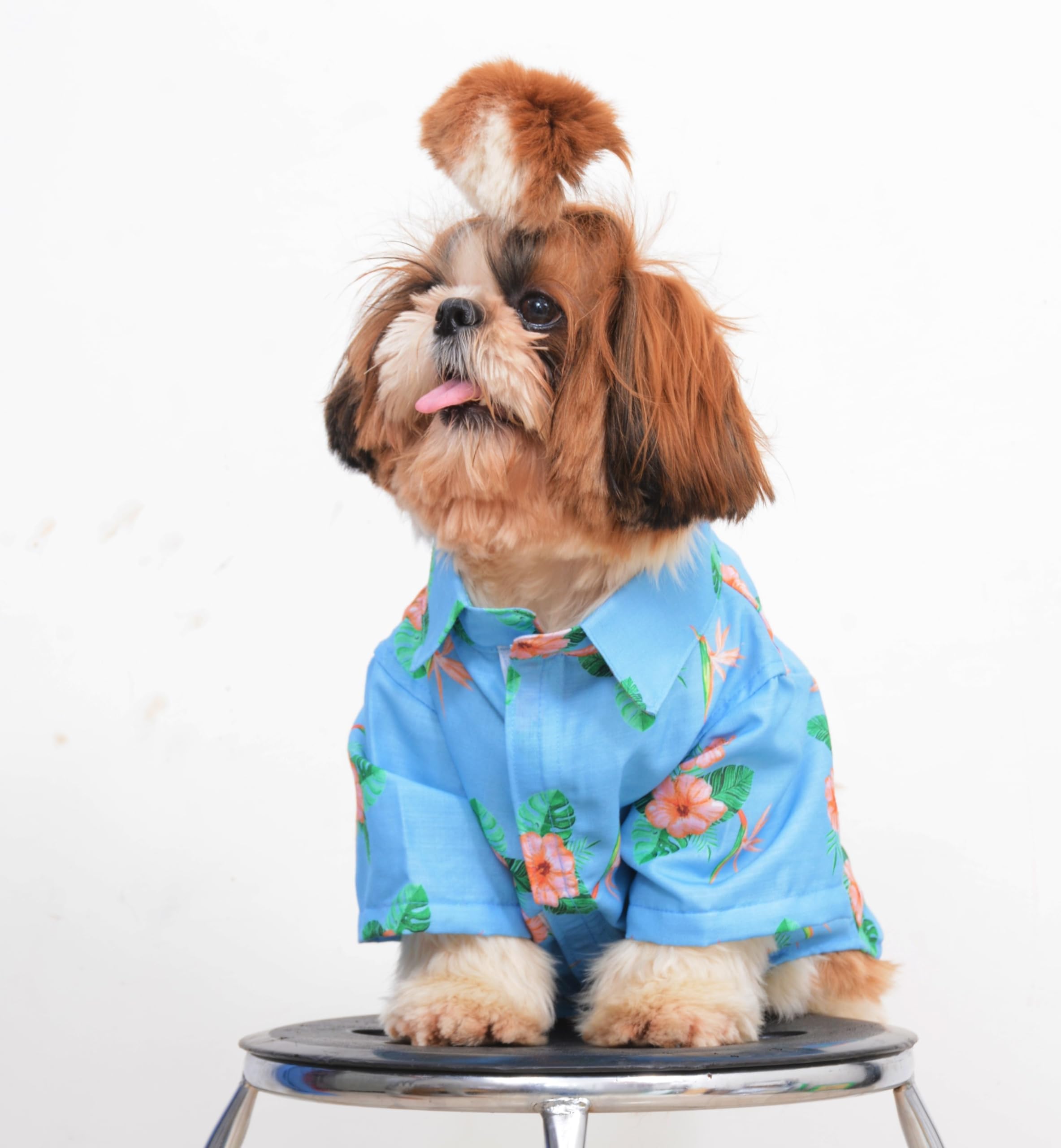 DogsNDude Fashion Casual Wear for Pets; Dog & Cat Cotton Shirt; Winter, Cute Print (M, Blue), 1 count