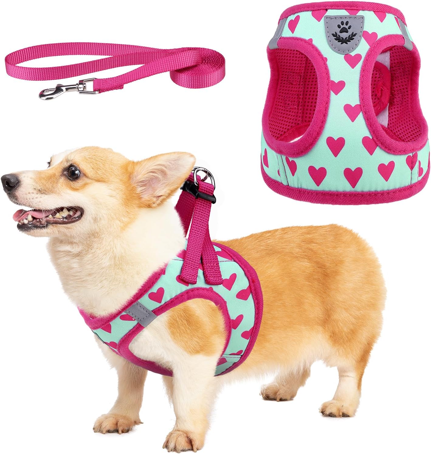 Monkimau Mesh Dog Harness With Leash For Small Dogs - Reflective & Adjustable (XXS To L)