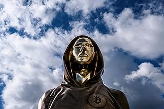 The Enigma of Satoshi Nakamoto & Bitcoin (English Edition)