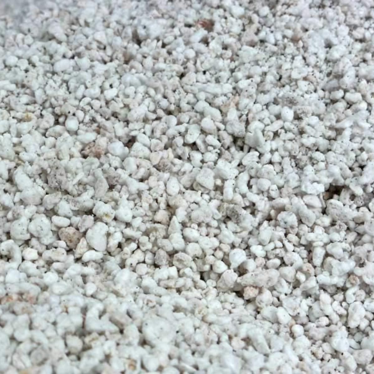 hubey Perlite pour Plantes - Système de Drainage - Stockage d'oxygène, Stockage d'humidité - Améliorateur de Sol … (12 Liter)