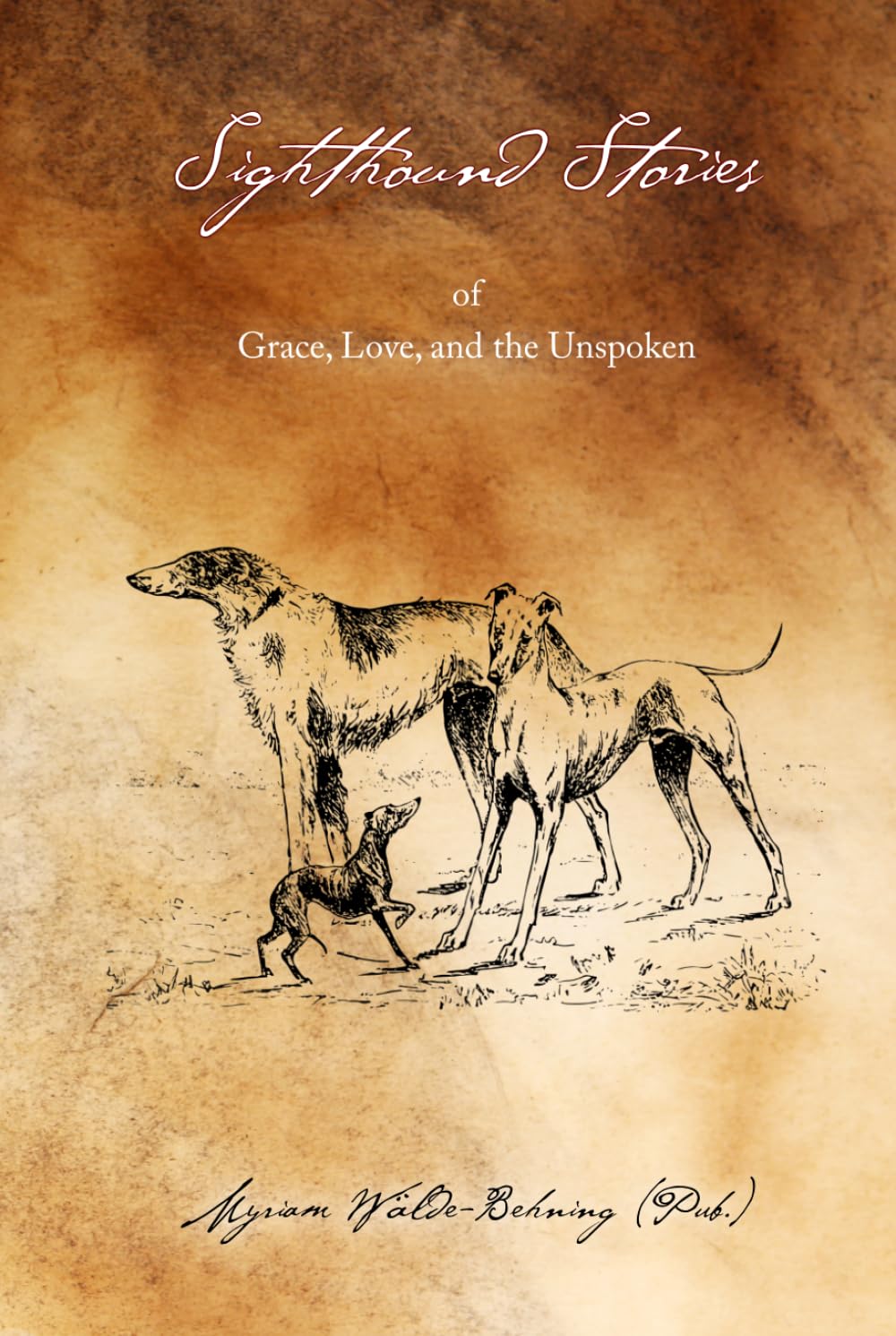 Sighthound Stories: of Grace, Love and the Unspoken