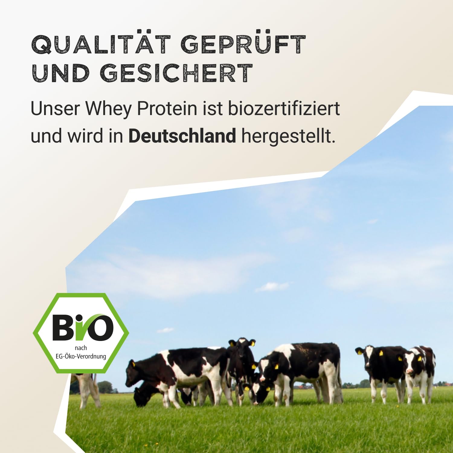 HARVEST REPUBLIC Bio Whey Protein Pulver Natur 750 g | Eiweiß Protein Pulver aus Molke | Molkenproteine für Muskelaufbau | bis zu 20 g Protein pro Portion | Bio Proteinpulver ohne Zusatzstoffe