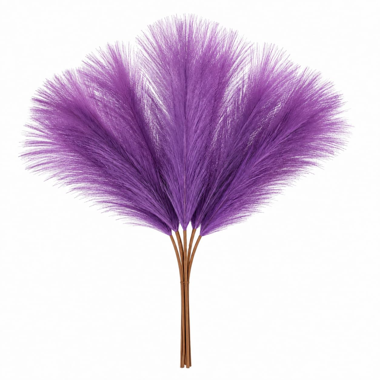Pampas Grass Set - Realistic Boho Flowers -11
