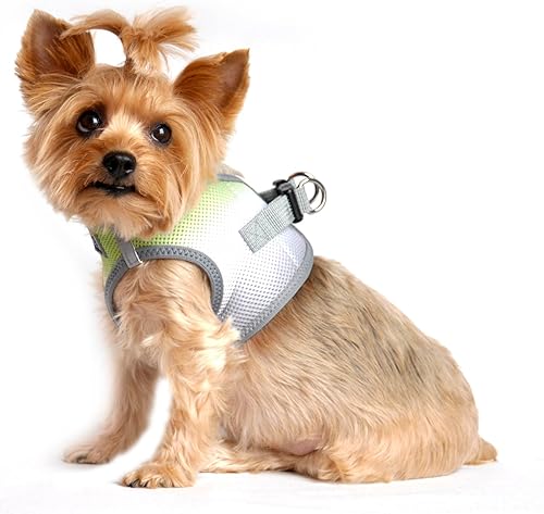 Vista 36 de DOGGIE DESIGN American River - Arnés para perro de la colección ombré, color frambuesa (S (circunferencia de 13 a 16 pulgadas)