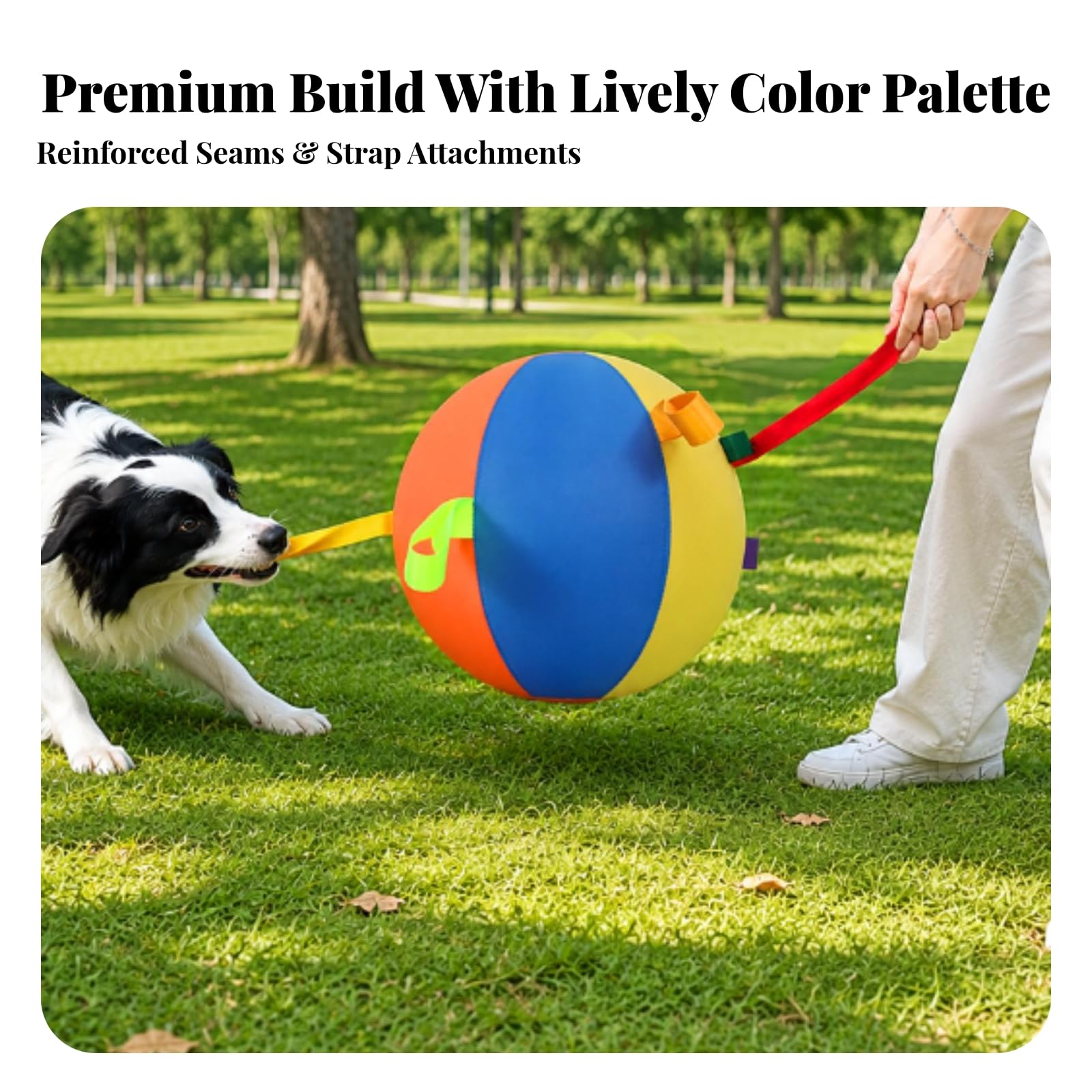 Reißfest Aufblasbar Hundeball, Groß, Durchmesser 55 cm, Mehrfarbig