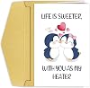 Cute Penguin Valentines Day Card, Funny I Love You Card for Him Her, Anniversary Card Gift for Wife Husband, Life Is Sweeter With You As My Heater