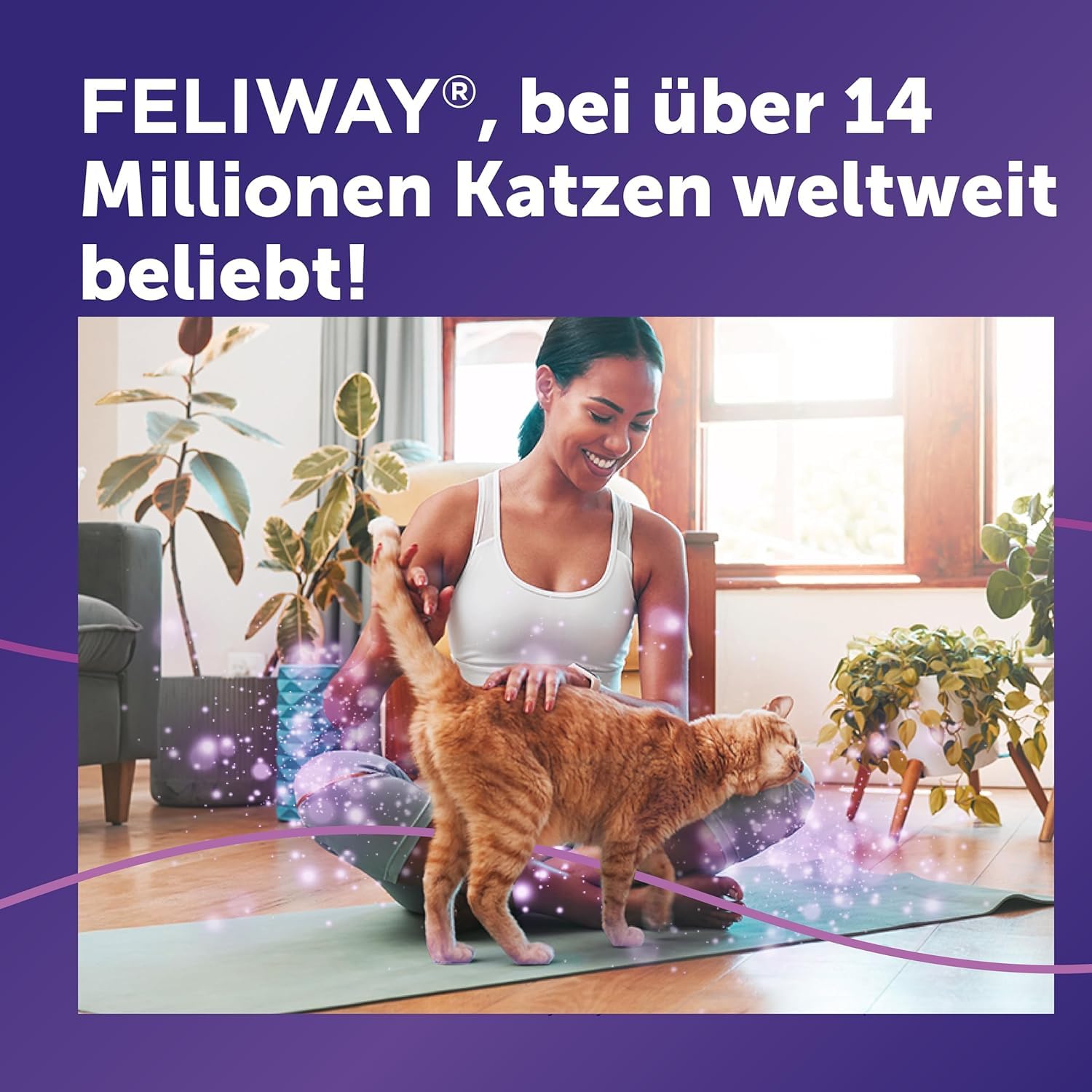 FELIWAY Classic | Pheromone für Katzen | Verdampfer für die Steckdose inkl. 48ml Flakon + 20ml Spray | gegen Stress, für mehr Harmonie | von Tierärzten empfohlen, klinisch getestet