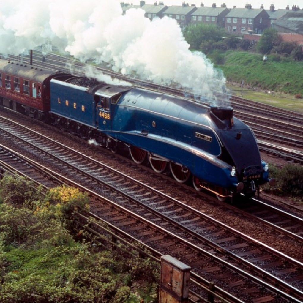 Mallard Train Greeting Sound Card by Really Wild Card