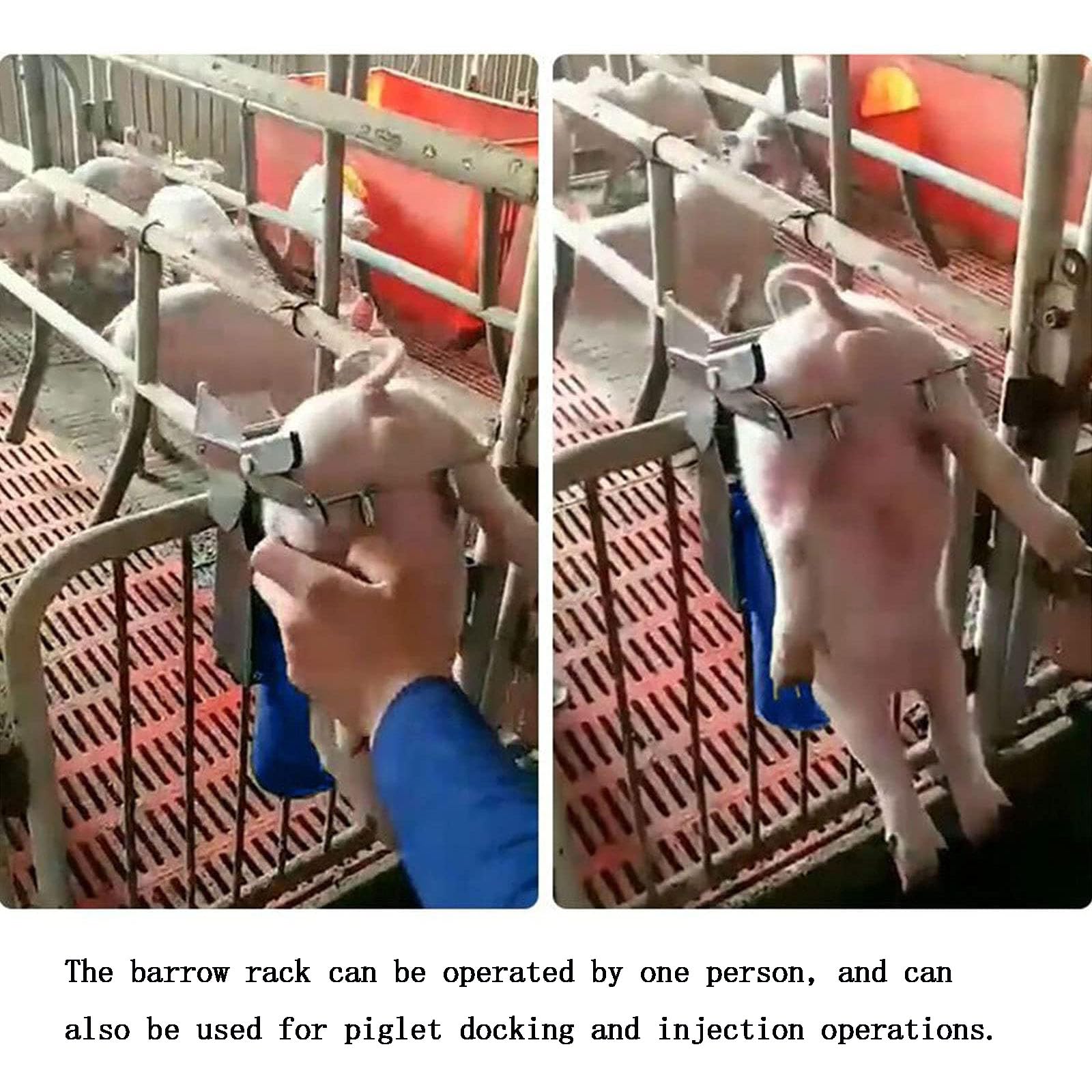 Depilatore Per Maiale In Acciaio Inossidabile | Raschiatore Setole Bestiame | Attrezzo Agricolo Professionale Per Bovini, Ovini E Anatre
