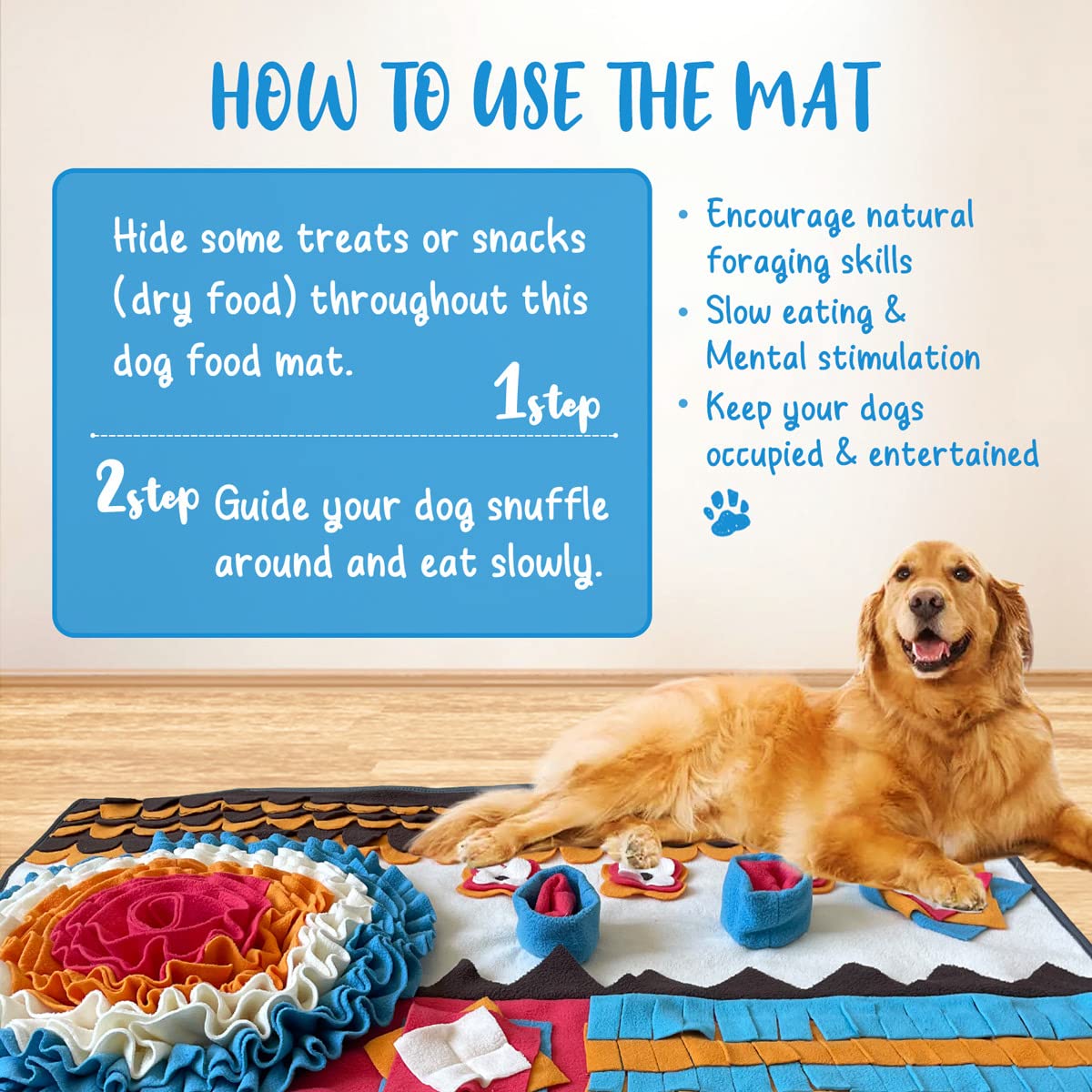 How Can I Encourage My Dog To Eat