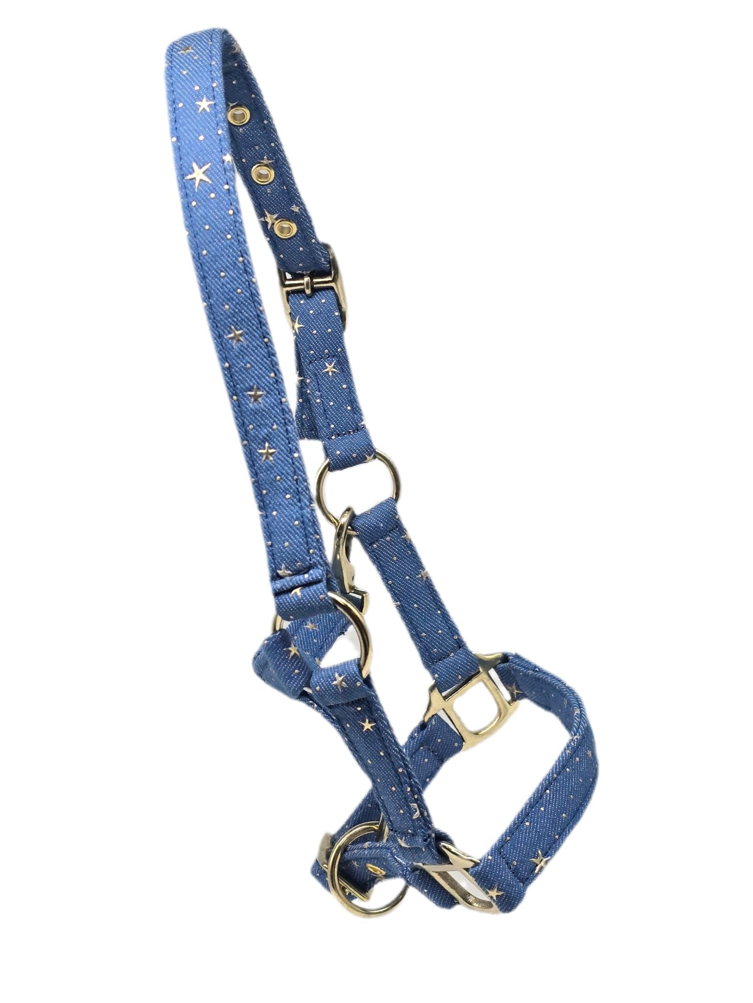 Halfter Starry Sky Hellblau Schwarz Sterne Gold Farben Minishetty Shetty Sternenhalfter Tysons Falabella Minipony (Shetty, Hellblau)