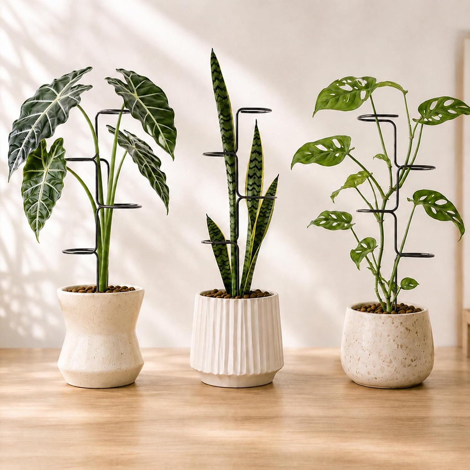 3Pcs Plant stem Supports for Indoor Plants - 17" Metal Stakes for Monstera image 4