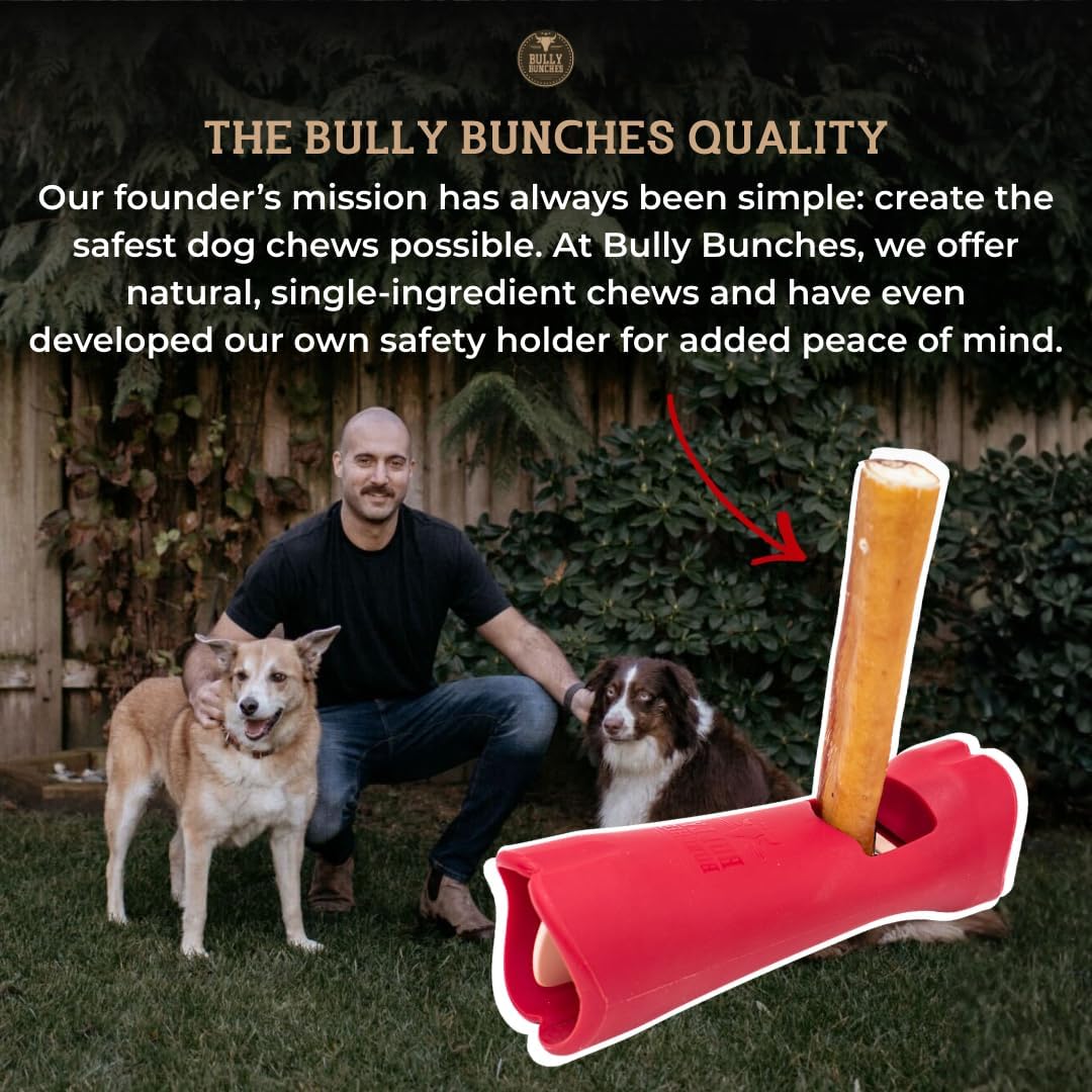 Bully Bunches Premium 6 Inch Thick Odor-Free Bully Sticks for Small & Medium Dogs - Consistently Sized, Long Lasting Chews for Oral Care- All Natural & Single Ingredient, 100% Beef Dog Treat (10 Pk)