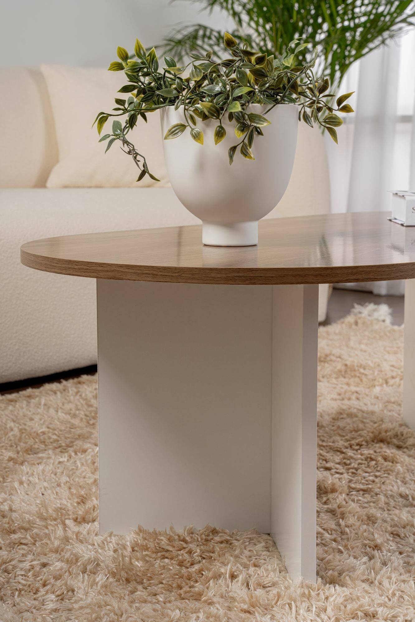 Dmora - Tavolino da Salotto Parrano, Tavolo Basso da caffè, Portariviste per Divano, Ripiano da Soggiorno, 119x60 h40 cm, Noce e Bianco