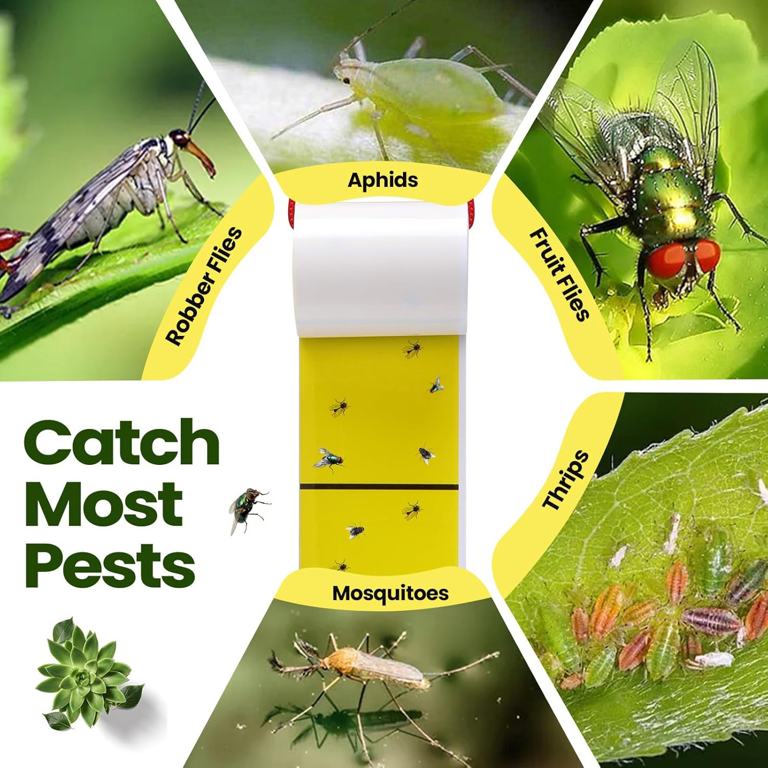 Qualirey Giant Sticky Fly Traps, Fly Strips for Indoor Outdoor Hanging Flying Tapes Non Toxic Ribbon Fruit Gnat Killer for Mosquito Plants House Horse Stable(23 ft,Yellow,15 Pcs)