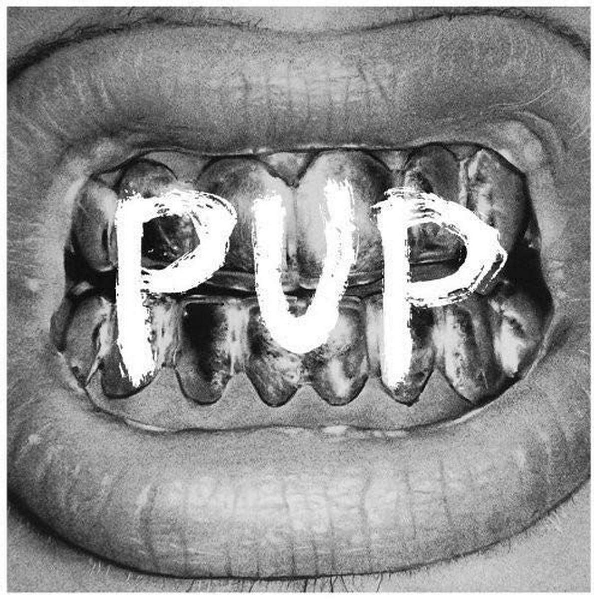 Pup by Pup (Record, 2014)