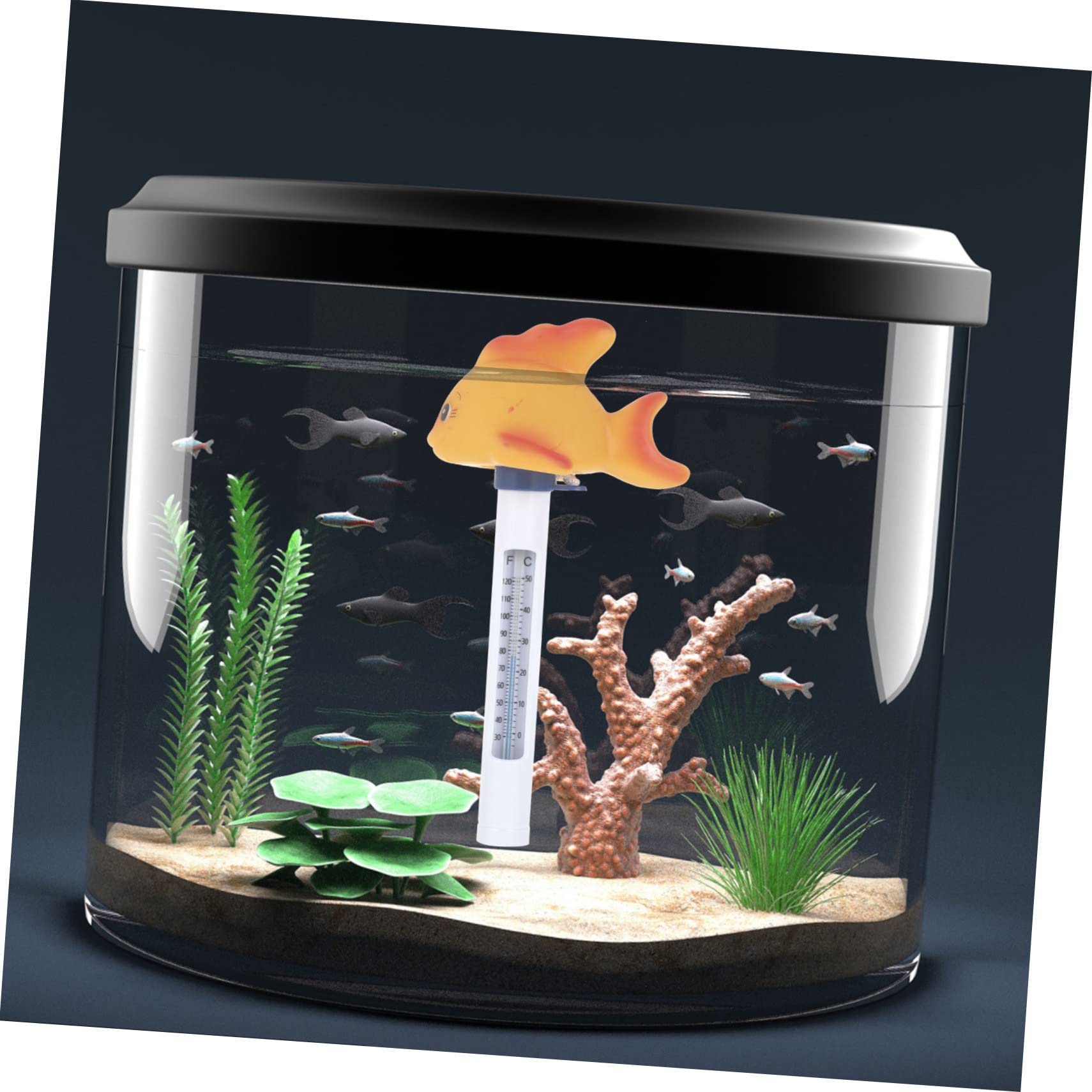 Sosoport 3pezzi Termometro Galleggiante Per Piscina Forma Di Pesce Misuratore Di Temperatura Per Piscine Vasche Da Bagno e Acquari Design Divertente e Adorabile Display Fahrenheit e Celsius