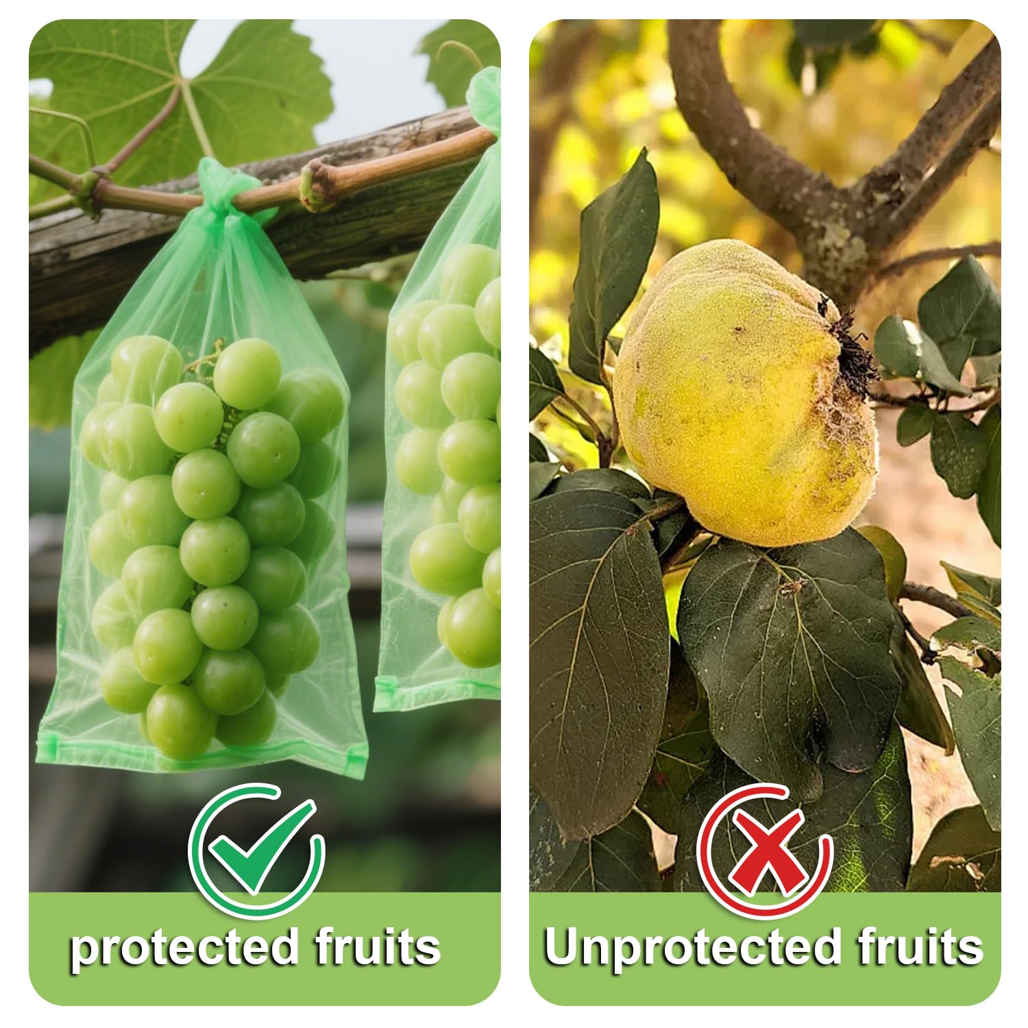 Sachet Protection Raisin 100 Pièces 20 x 30cm Vert Armée