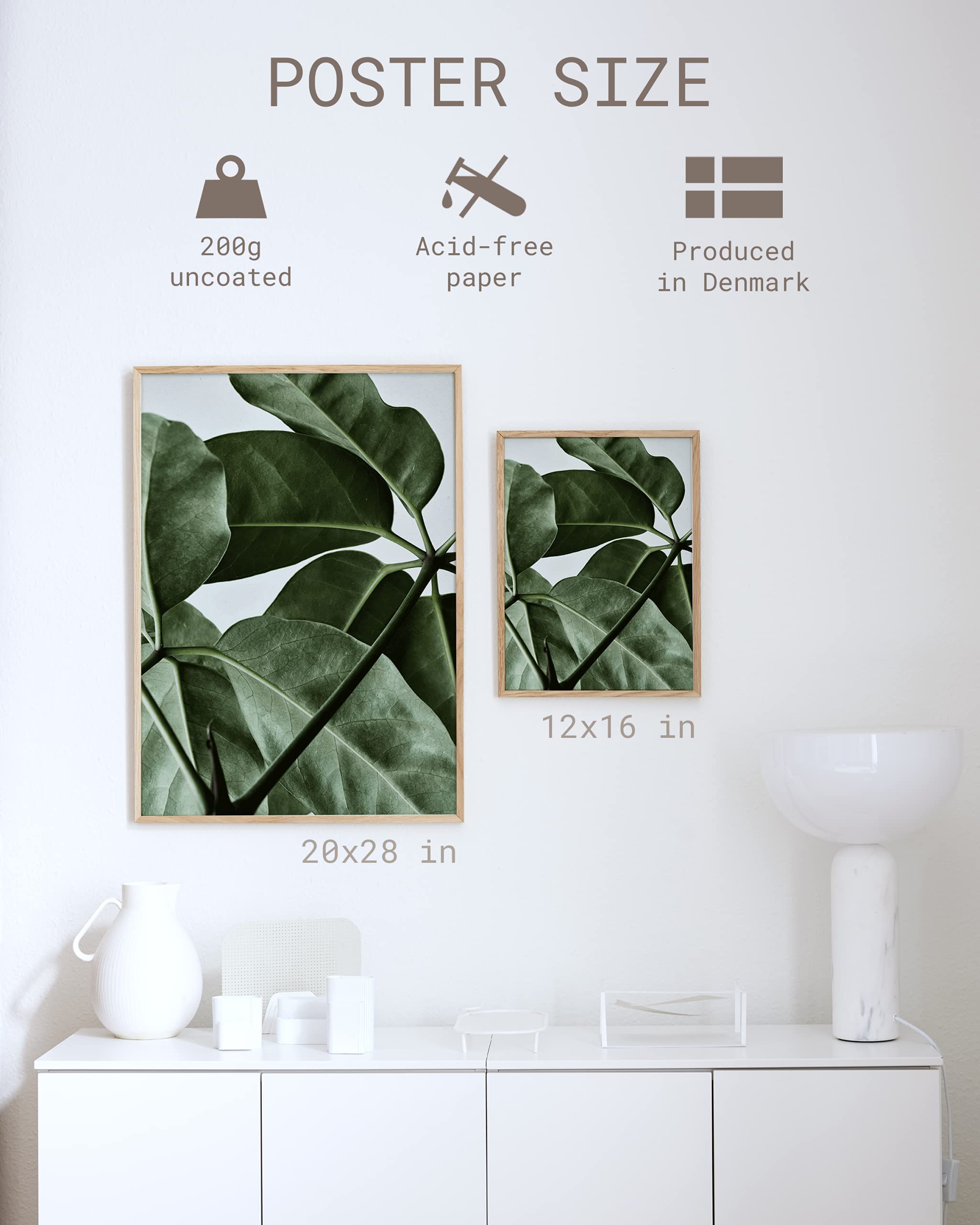 グリーンホーム01 50x70cm ペーパーコレクティブ ポスター ケース付き Amazon.co.jp: 【PAPER COLLECTIVE】GREEN HOME 01/グリーンホーム01