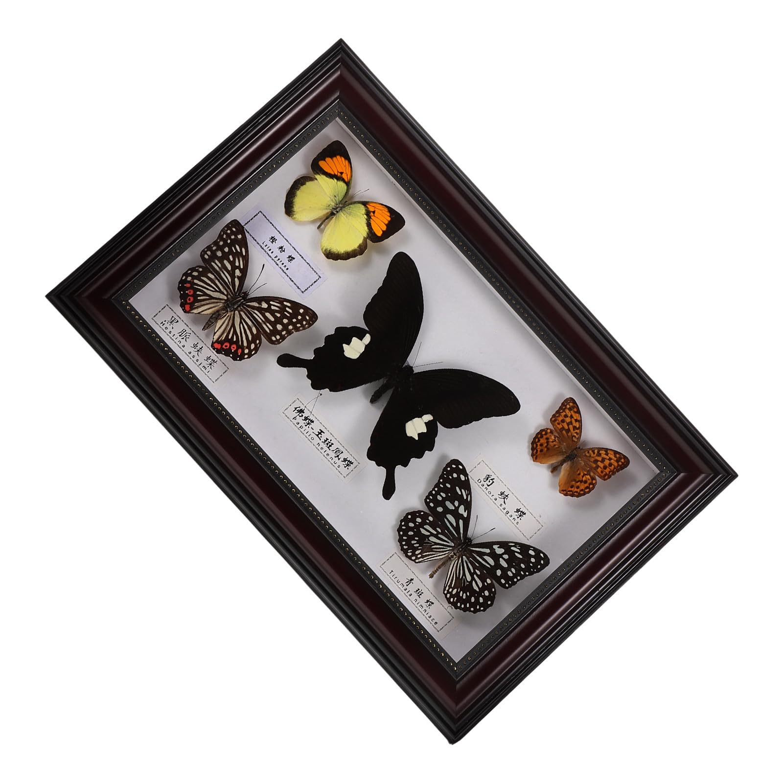 Marco de Fotos Decorativo Mariposas de Madera, Diseño Retro y Acabado Artesanal, Adecuado Decoración del Hogar y Espacios de Vida