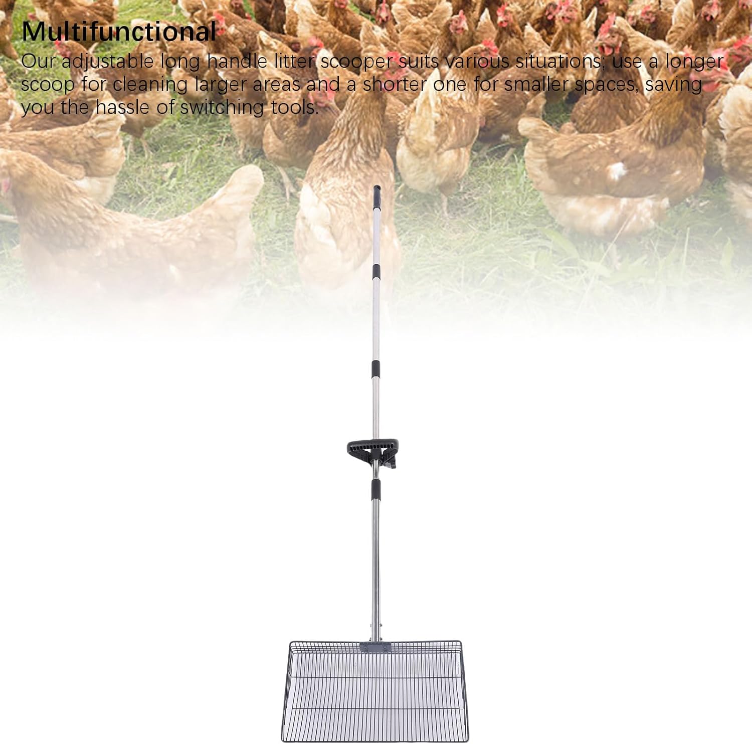 Large Chicken Poop Scooper, 43 to 69 in Adjustable Long Handle Telescopic Stainless Steel Anti Stick Chicken Coop Litter Sifting Shovel for Pet Waste Cleaning
