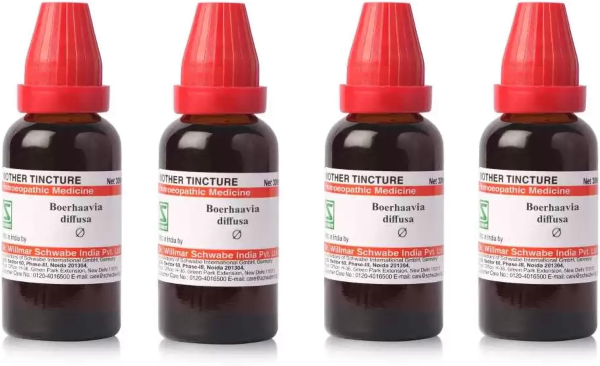 Dr. Willmar Schwabe India Boerhaavia Diffusa Q Pack of 4