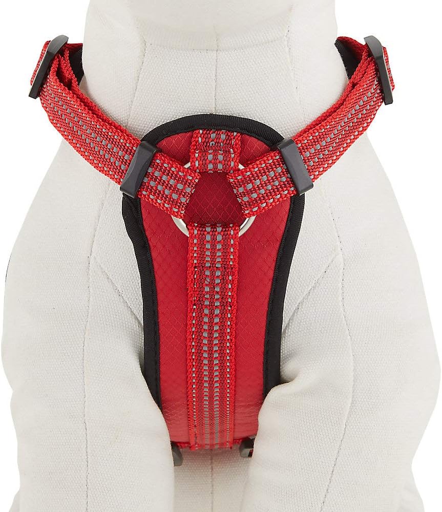 kong reflective harness