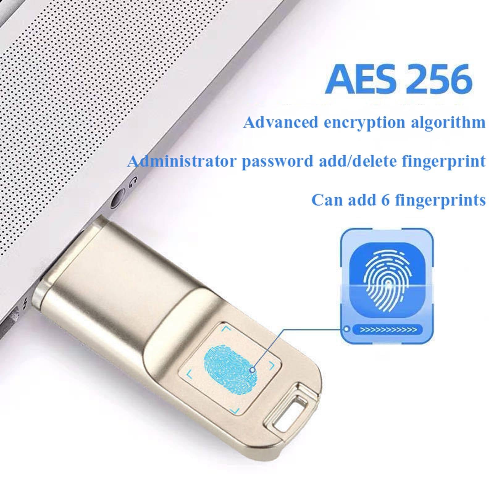 Chiavetta USB 3.0 Con Impronta Digitale,32 Gb/64 Gb/128 Gb/256 Gb, Chiavetta USB Antifurto per Ufficio, Memory Stick Con 10 Id Di Impronte Digitali Consentiti, Per Windows/Mac Os E Android 6.0 64GB