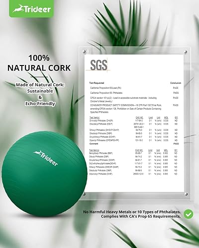 Miniatura 5 de Trideer Exercise Ball for Physical Therapy, Swiss Ball Physio Ball for Rehab Exercises, Workout Fitness Ball for Core Strength, Yoga Ball for