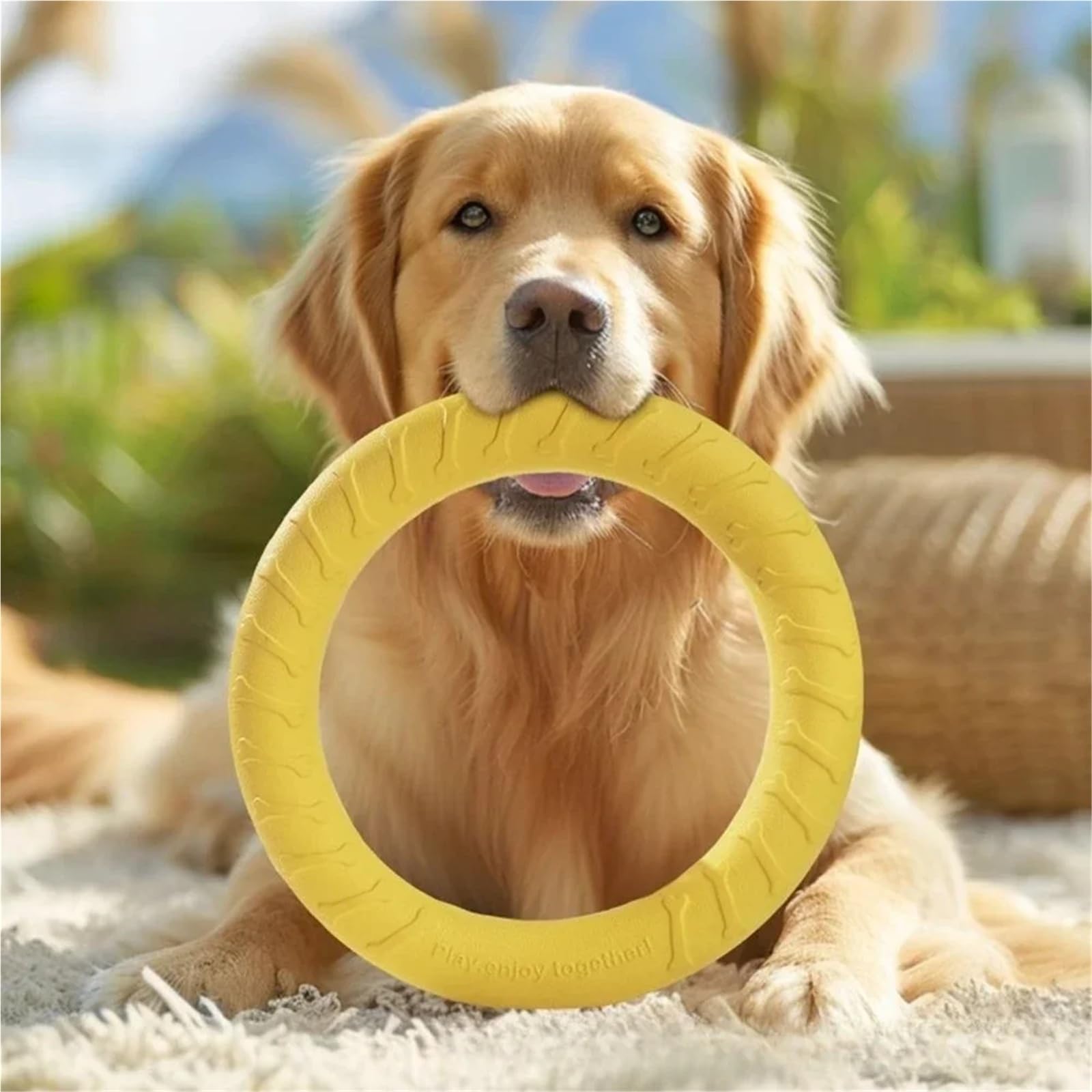 Anillo de entrenamiento para perros de juguete para perros al aire libre, agresivo, duradero, masticadores de mascotas, juguetes de búsqueda, disco volador, anillo flotante para cachorros grandes y