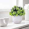 Product Photo 5