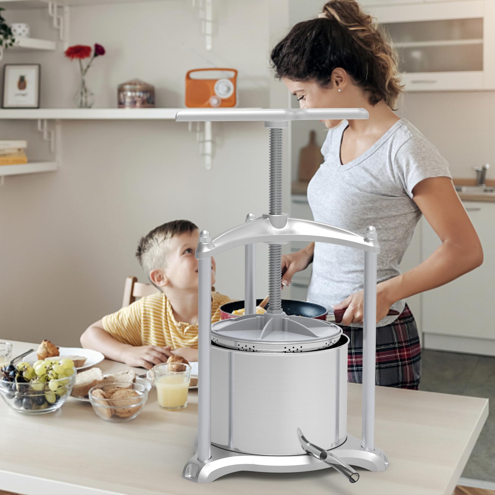 SQUEEZE master Fischer Presse-fruits jusqu'à 6 l en aluminium et acier inoxydable – Presse à vin pour la cuisine et un usage domestique ambitieux