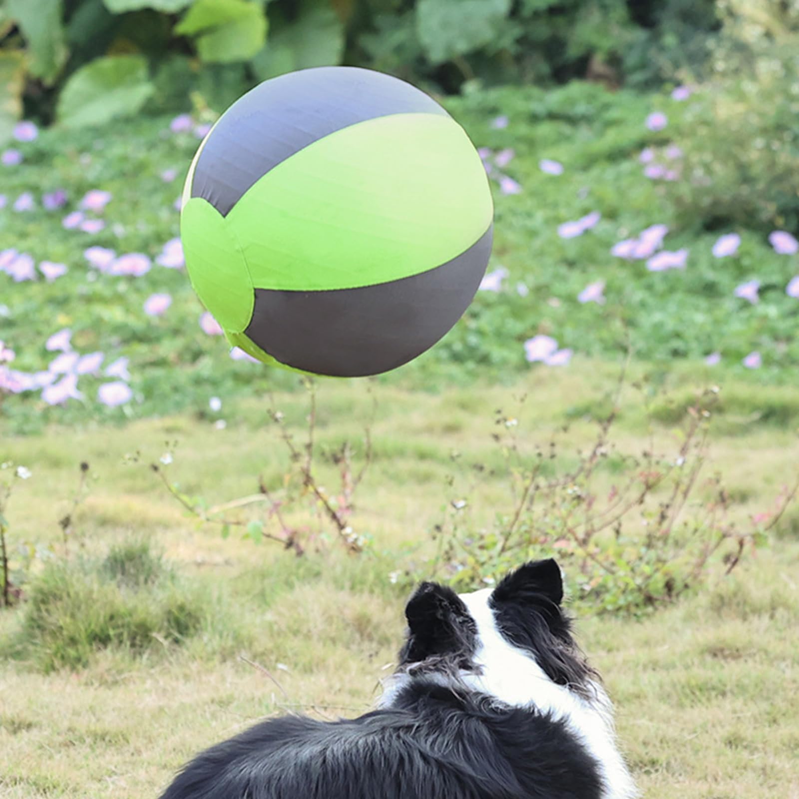 Giocattolo rimbalzante sicuro in EVA per gioco che brucia energia del cane inseguendo la palla da addestramento per cani da masticare per interni esterni