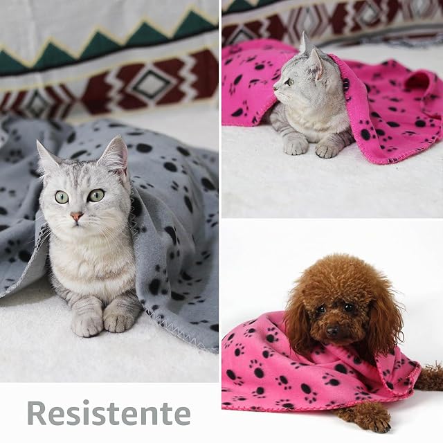 Foto 6 de 6 de MEMOFYND 2 mantas para mascotas, lindas mantas para mascotas, manta estampada para mascotas