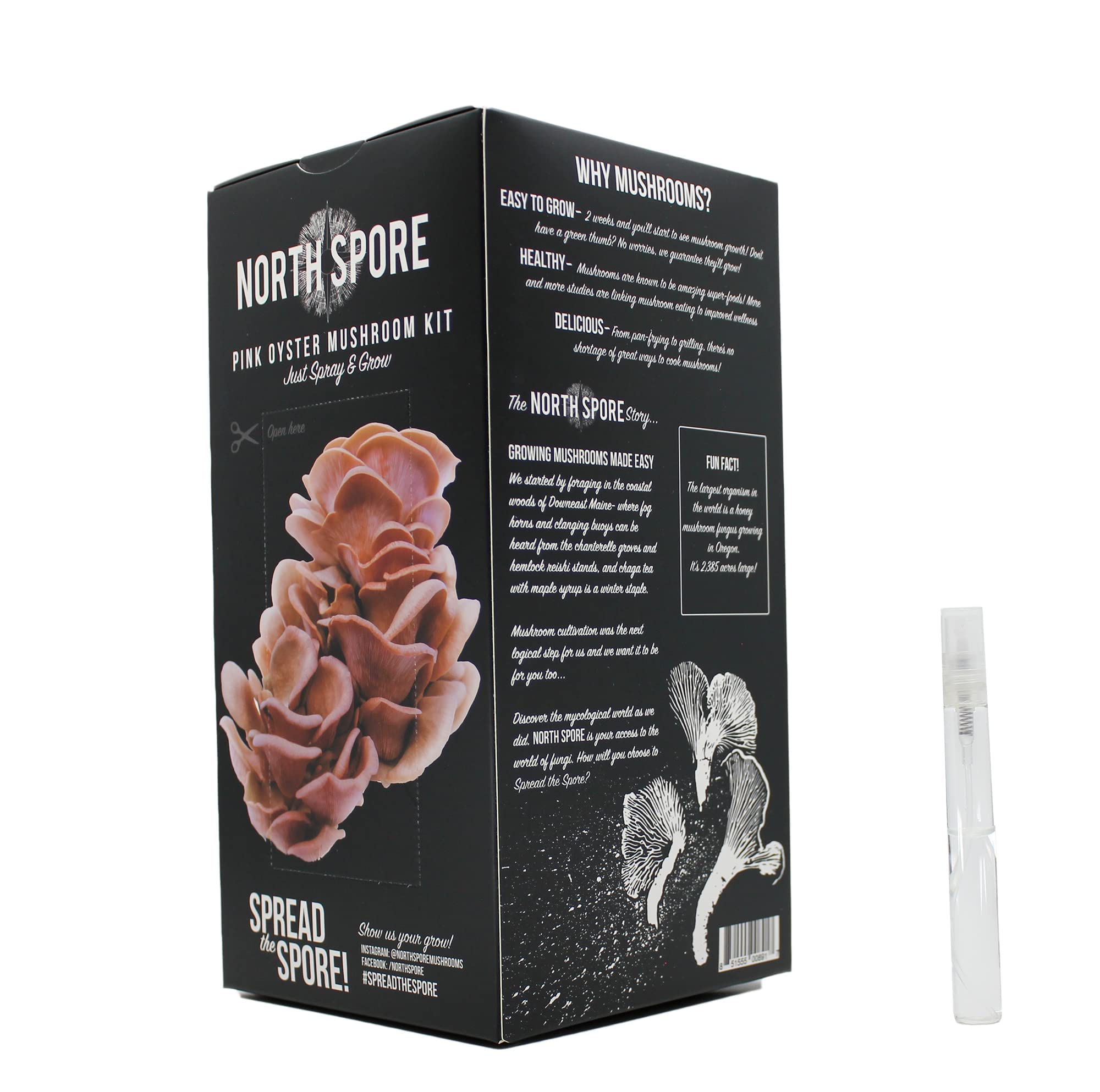North Spore Pink Oyster Mushroom Spray & Grow Kit (4 lbs) Beginner