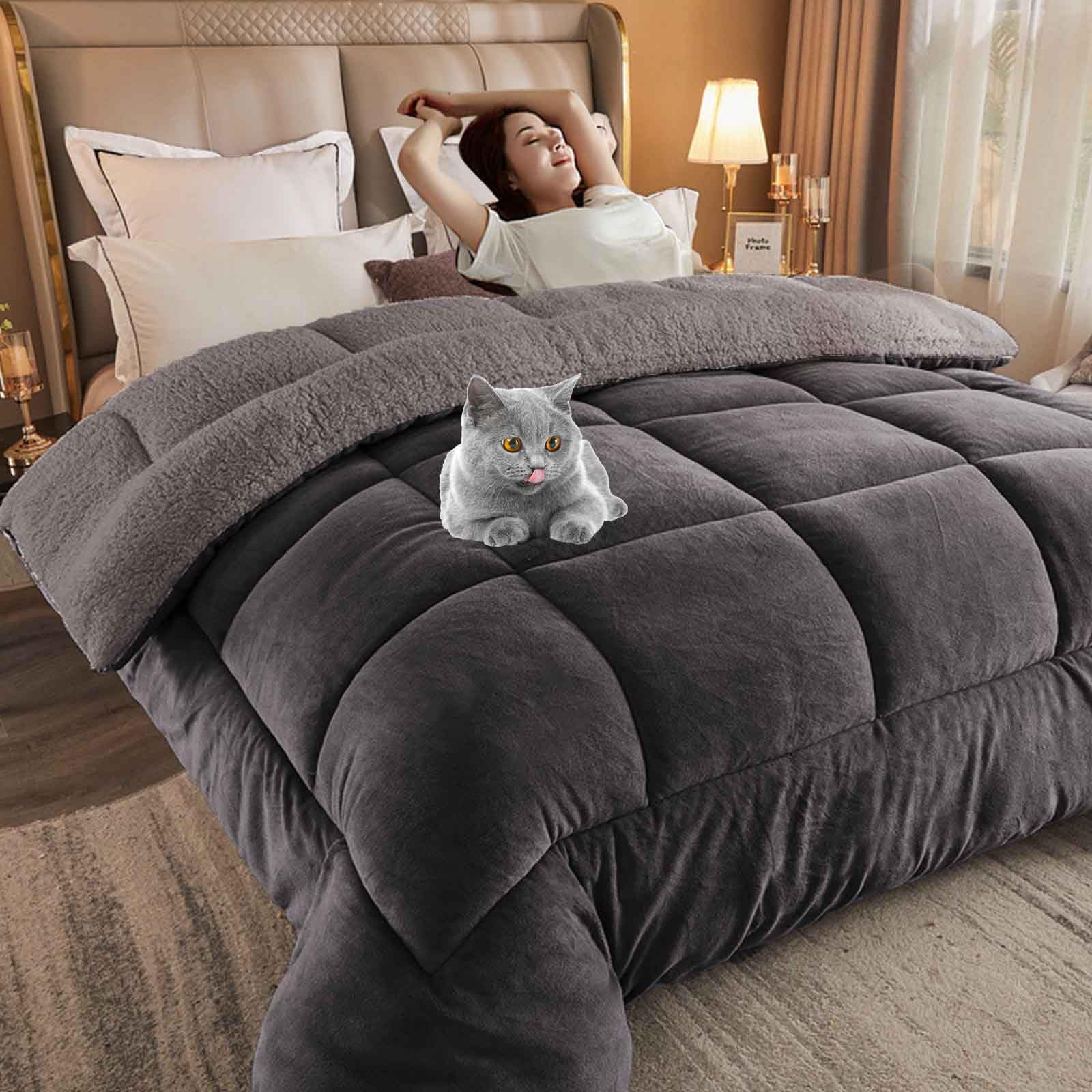 HLTQL Quilt Winter Lamb Velvet King,Thicken Winter Warm Lamb Velvet Comforter,Winter Duvet, Super Soft Warm Lamb Wool Quilt,Suitable for Autumn Winter(04,Pillowcase) — image 1