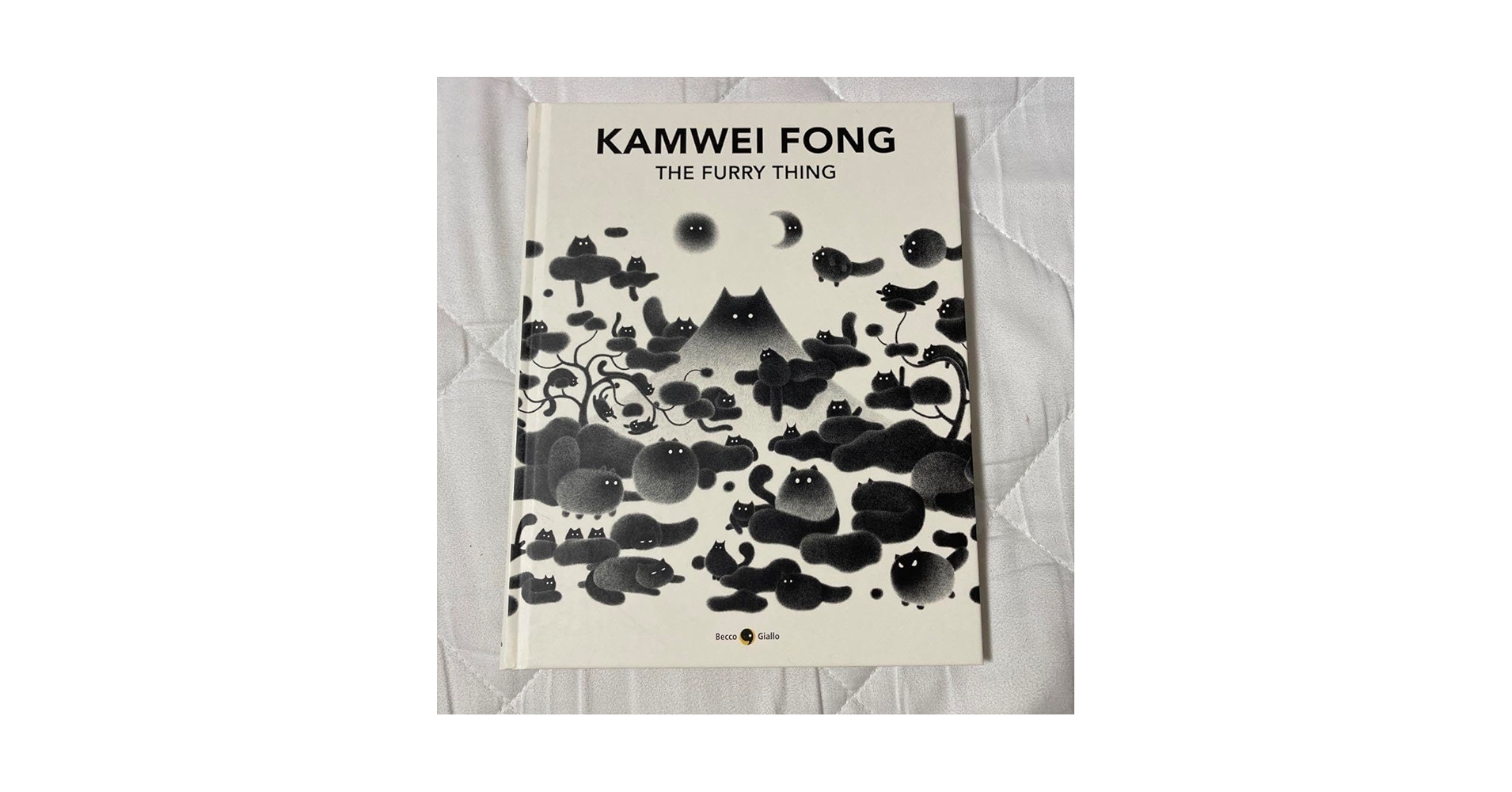 カムウェイ・フォン　画集　KAMWEI FONG THE FURRY THING 71fMEpeEOFL._UF350,350_QL50_.jpg