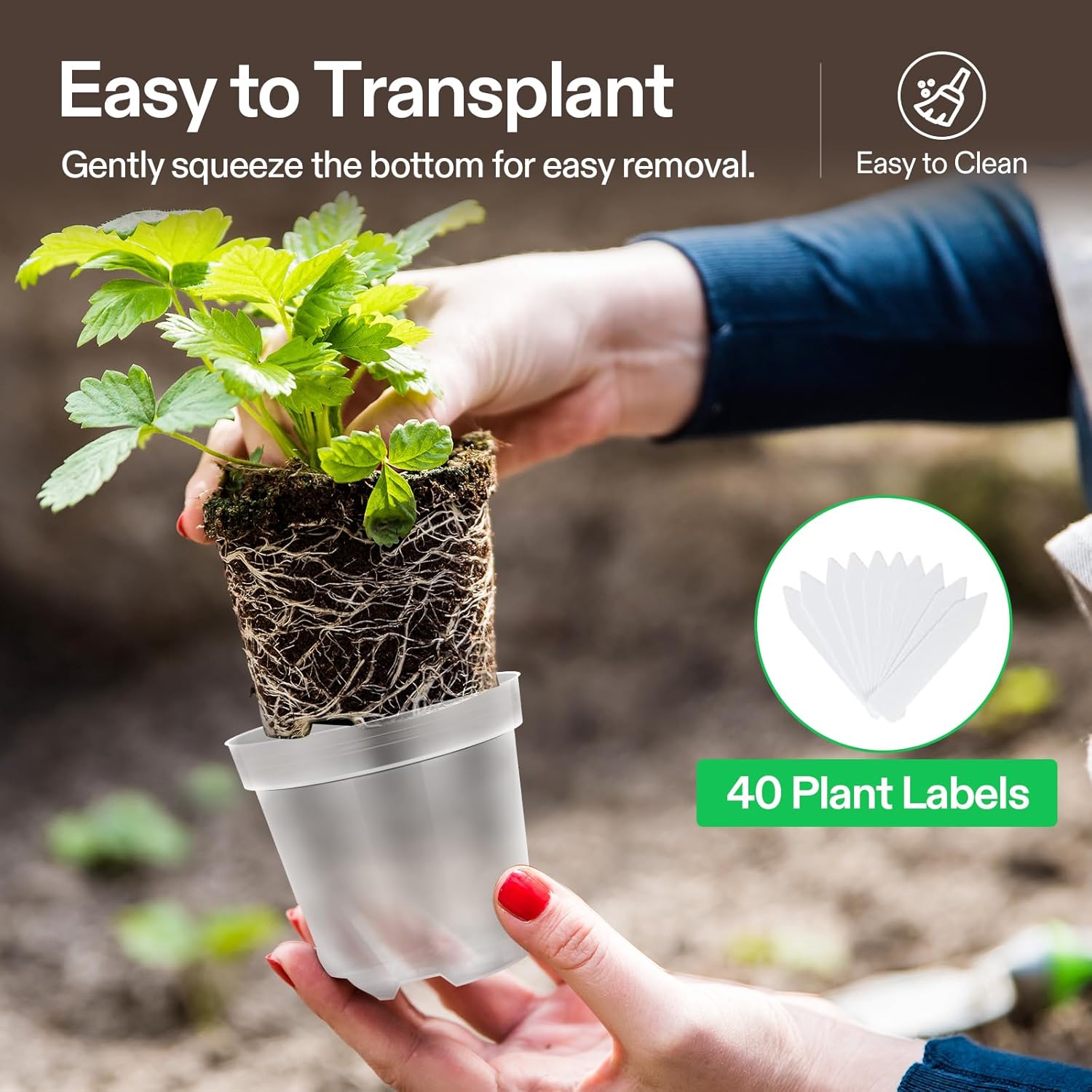 VIVOSUN 72 Packs 4/5/6 Inch Clear Nursery Pots with Drainage Holes, Reinforced Plastic Seedling Pots for Plants, Flowers, Cuttings, and Succulents, 40 pcs Plant Labels