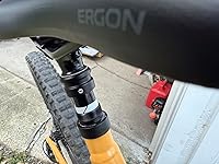 Review Image by Ross Frame Ross Frame