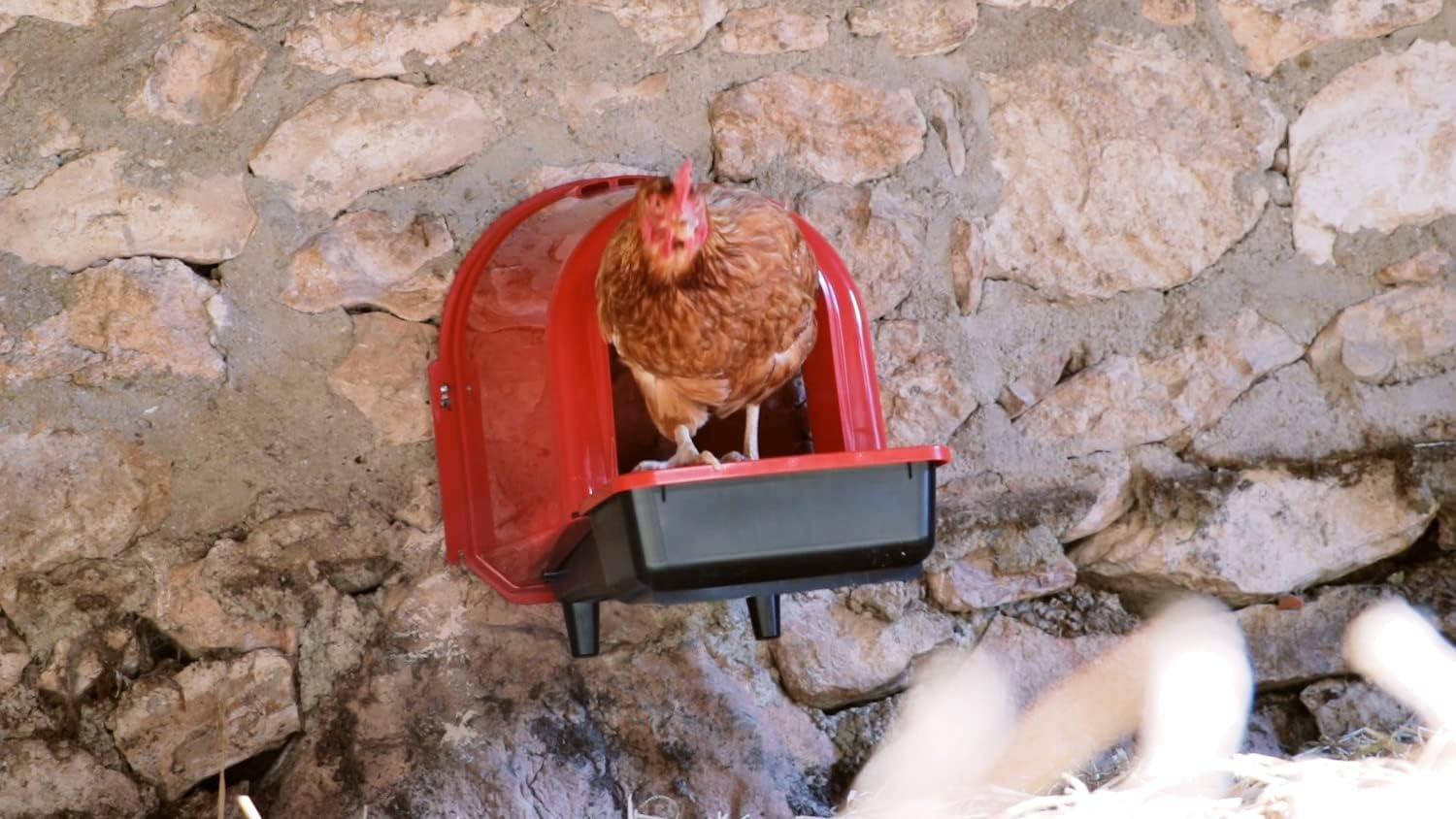 horizont Nido con deposito per uova, nido di pollo, in plastica, per un massimo di 6 polli, per montaggio a parete, nidi di legename per polli, grande scatola di ovaia, nido per pollame, accessori per