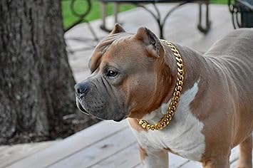 Pups&Pets Brass Heavy Duty Diamond Cut Gold Dog Choke Chain Training Dog Collar Swivel Dog Show Choke Chain (Thickness 3 MM, Length 24 Inch, for Medium Dog)